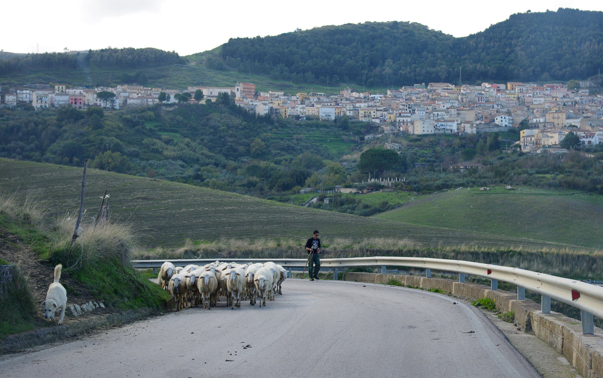 Sicilia