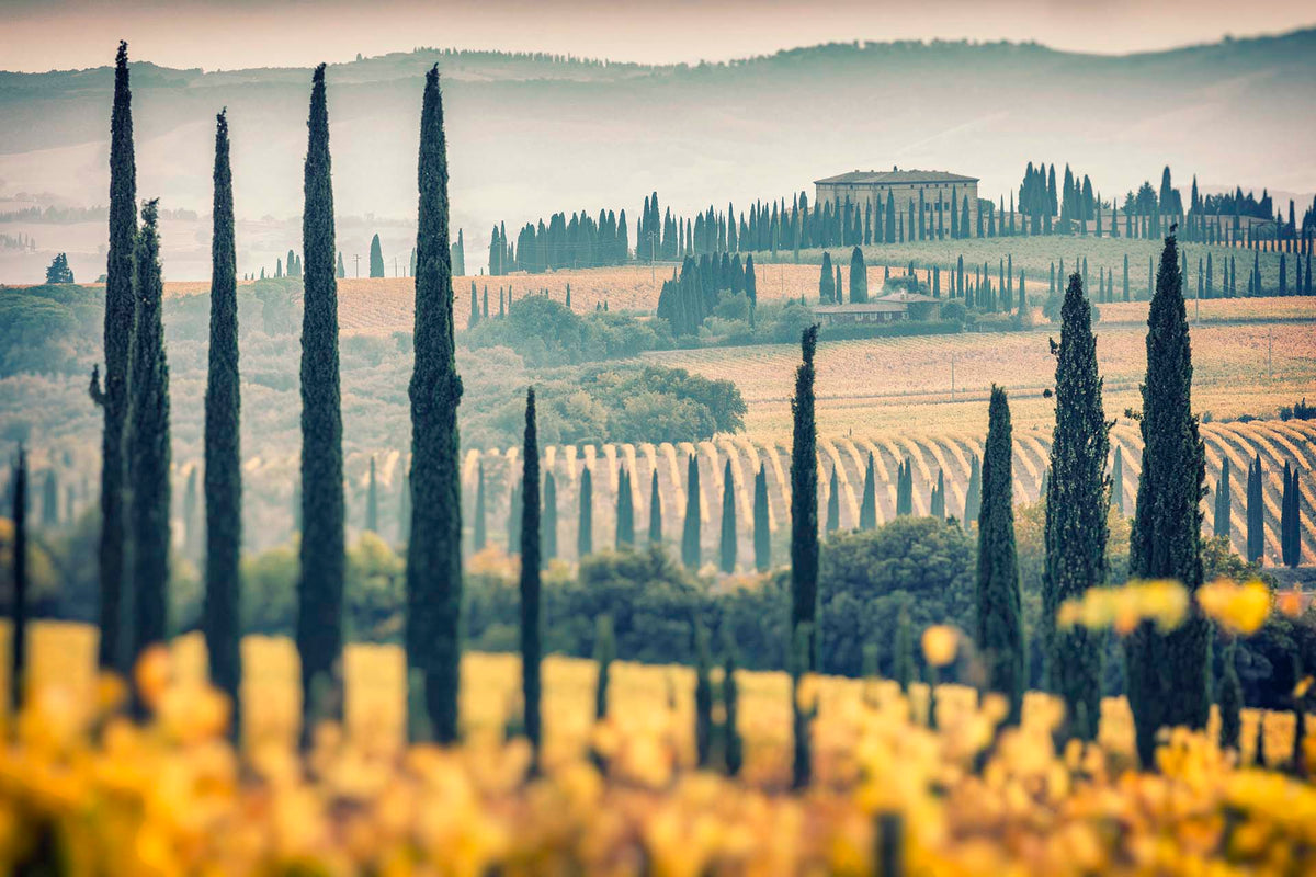 Toscana